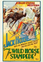plakat filmu The Wild Horse Stampede