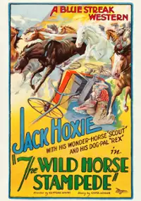 Plakat filmu The Wild Horse Stampede