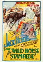 W.C. Tuttle / The Wild Horse Stampede