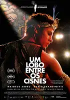 plakat filmu Um Lobo Entre Os Cisnes