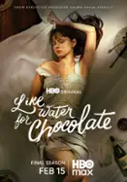 plakat serialu Przepi&oacute;rki w płatkach r&oacute;ży