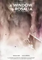 Caroline Leone / Pela janela