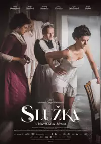 Plakat filmu Służąca