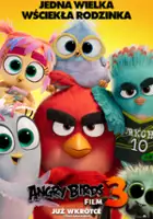 Toru Nakahara / Angry Birds 3 Film