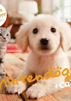 plakat filmu Nintendogs + Cats