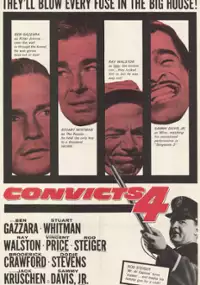 Plakat filmu Convicts 4