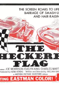 Plakat filmu The Checkered Flag