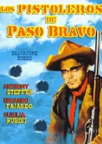 Plakat filmu Los Pistoleros de Paso Bravo