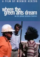 plakat filmu Tam, gdzie śnią zielone mr&oacute;wki