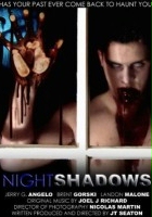 plakat filmu Nightshadows