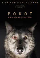 plakat filmu Pokot