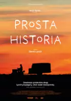 plakat filmu Prosta historia