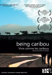 Plakat filmu Being Caribou