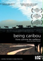 plakat filmu Being Caribou