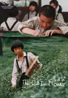 Lu bing hua
