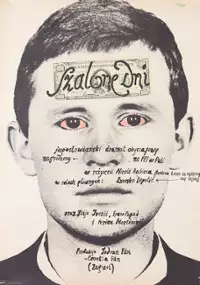 Plakat filmu Szalone dni