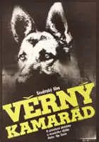 Yuri German / Day lapu, drug!