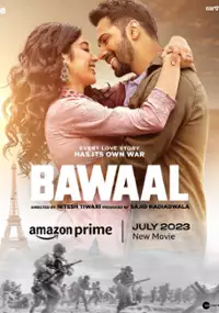 Plakat filmu Bawaal