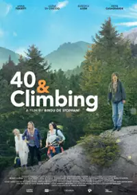 Plakat filmu 40 enni in Salita