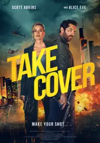 Plakat filmu Take Cover