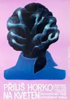 plakat filmu Prywatka