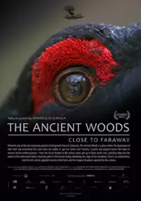 Plakat filmu Pradawny las