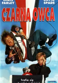 Plakat filmu Czarna owca