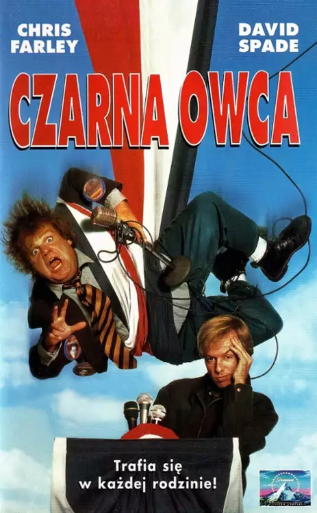 plakat filmu Czarna owca