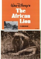 plakat filmu Lwy afrykańskie