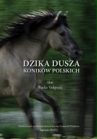 plakat filmu Dzika dusza koników polskich