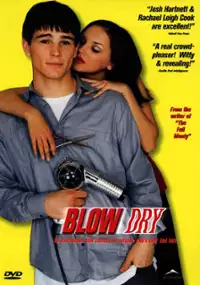 Plakat filmu Dwa w jednym