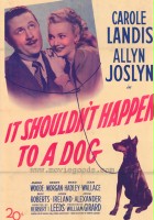 plakat filmu It Shouldn't Happen to a Dog