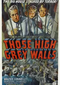 Plakat filmu Those High Grey Walls