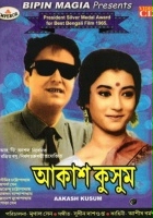 plakat filmu Akash Kusum