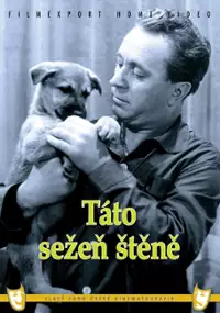Plakat filmu Táto, sežeň štěně!