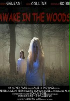 plakat filmu Awake In The Woods