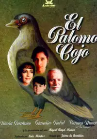 Plakat filmu Kulawy gołąb