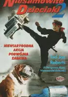 plakat filmu Niesamowite dzieciaki II