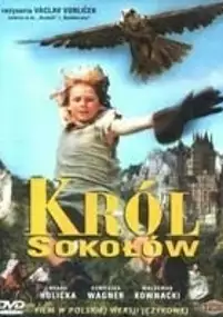 Plakat filmu Król sokołów