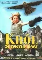 plakat filmu Król sokołów