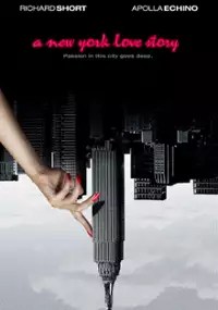 Plakat filmu A New York Love Story