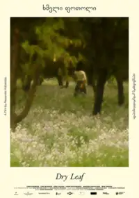 Plakat filmu Dry Leaf