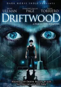 Plakat filmu Driftwood