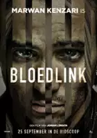 plakat filmu Pewniak