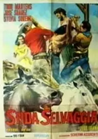 Plakat filmu El Llanero