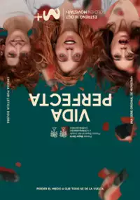 Plakat serialu Idealne życie