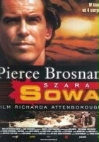 plakat filmu Szara Sowa