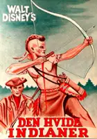 Joyce Vanderveen / The Light in the Forest