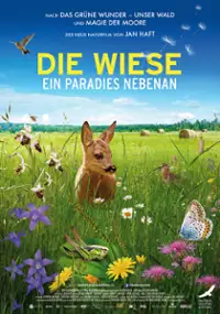 Plakat filmu Die Wiese