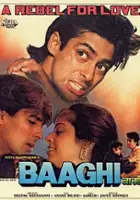 Anand Chitragupth / Baaghi: A Rebel for Love